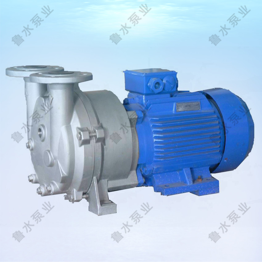 2BV水環(huan)式真空(kong)泵